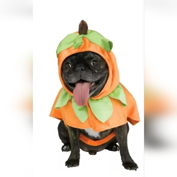 Spirit Halloween Pumpkin Pup Poncho Halloween Pet Costume New Size M 16-18 lbs - Picture 1 of 4